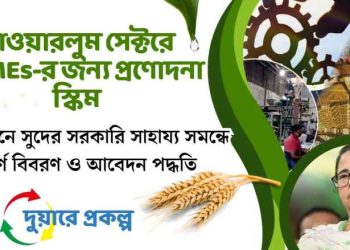 Powerloom Sector: Interest Subsidy on Term Loan